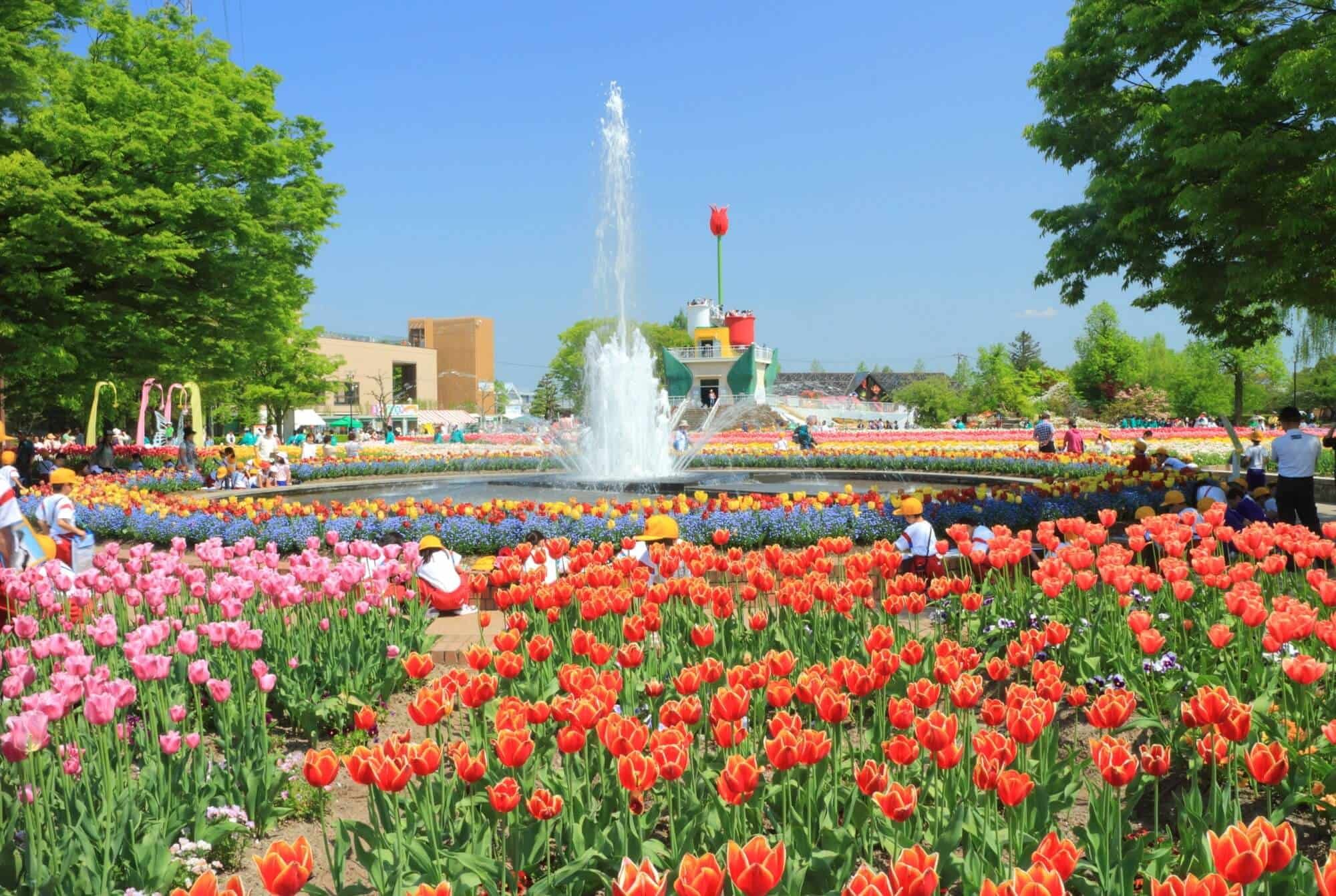 🌷 도나미 튤립 공원(도나미 튤립 코엔) 이미지 2